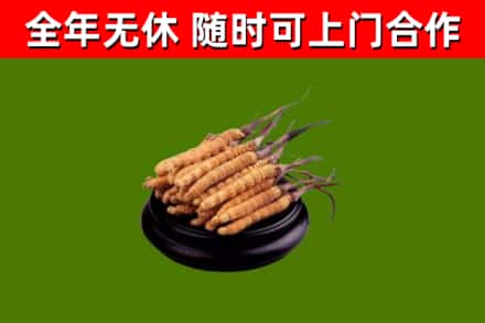 福贡县烟酒回收冬虫夏草.jpg